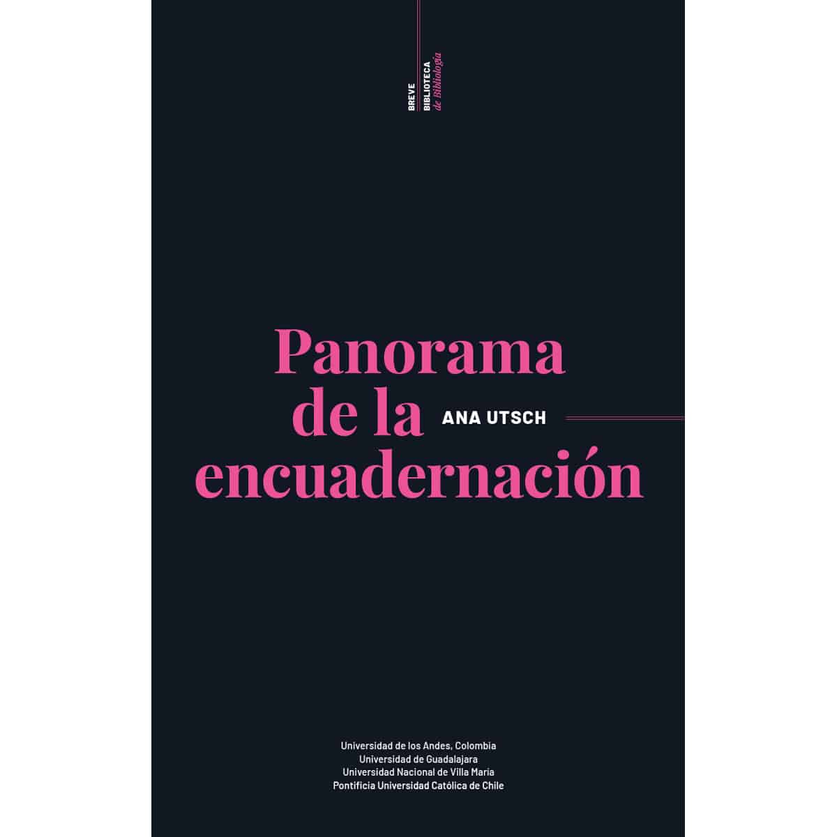 Cover image for Panoramas de la encuadernación