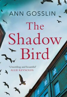 Cover image for The Shadow Bird
