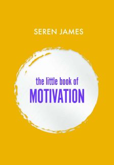 Cover image for The Little Book of Motivation