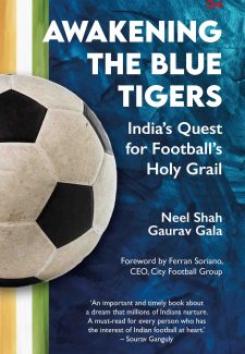 Cover image for Awakening the Blue Tigers
