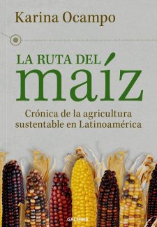 Cover image for Ruta del maíz, La