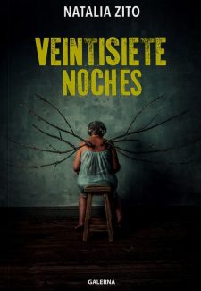 Cover image for Veintisiete noches