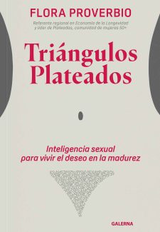 Cover image for Triángulos plateados