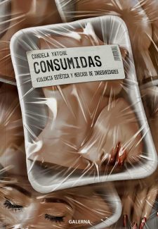 Cover image for Consumidas