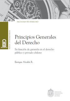 Cover image for Principios generales del Derecho