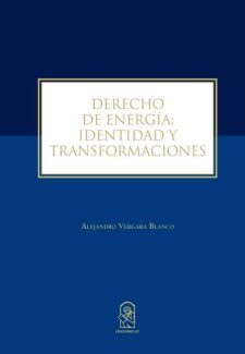 Cover image for Derecho de energía: Identidad y transformaciones