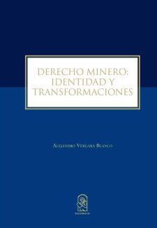 Cover image for Derecho Minero: Identidad y Transformaciones