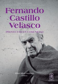 Cover image for Fernando Castillo Velasco