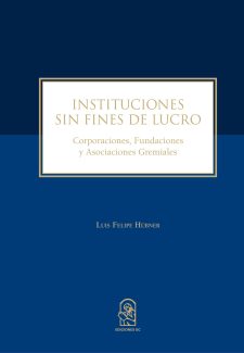 Cover image for Instituciones sin fines de lucro