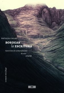 Cover image for Bordear la escritura