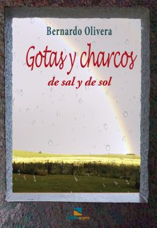 Cover image for Gotas y charcos de sal y de sol